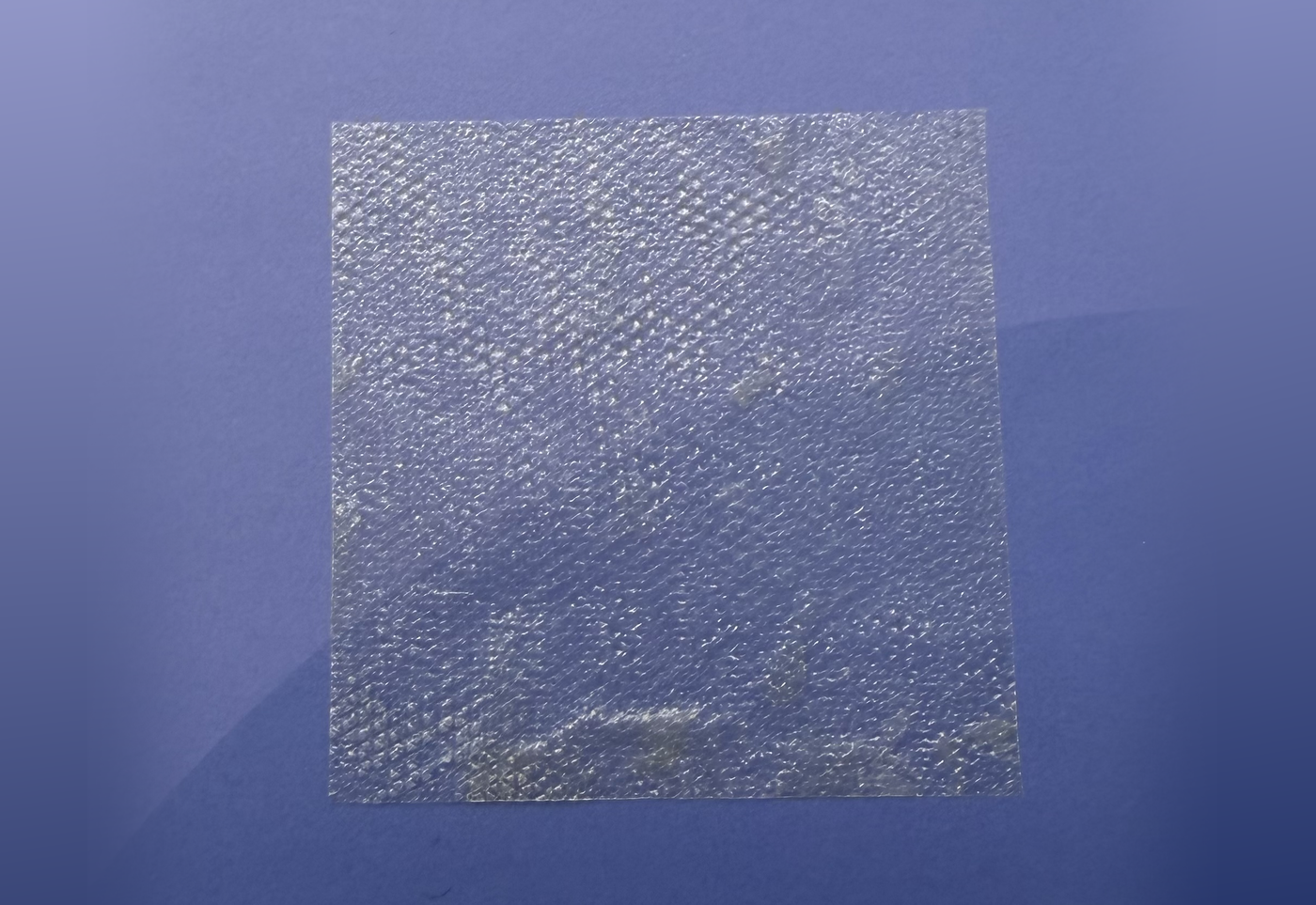 Dua Nova AA dual-layer amniotic membrane allograft