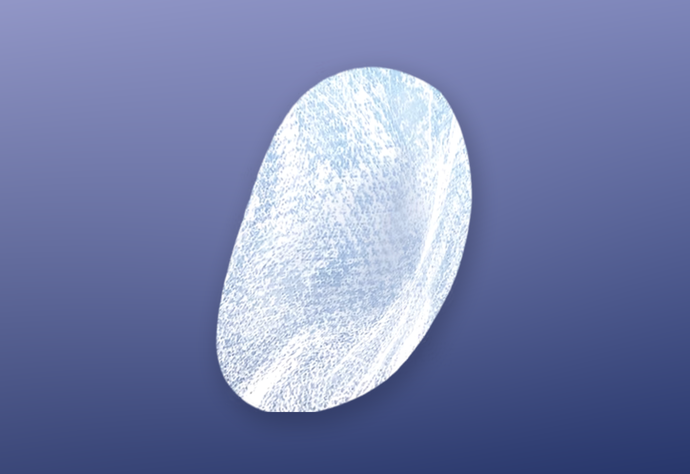 Ocular amnion allograft, single-layer amnion membrane